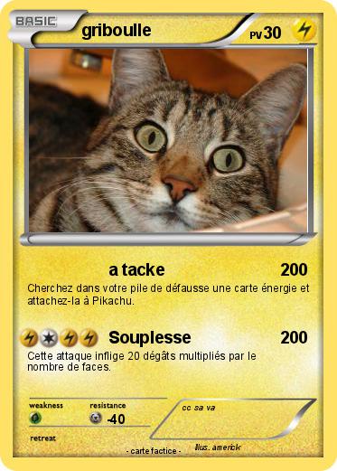 Pokemon griboulle