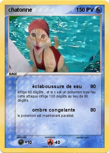 Pokemon chatonne