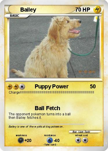 Pokemon Bailey