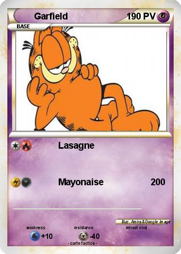 Pokemon Garfield