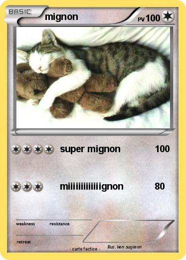 Pokemon mignon