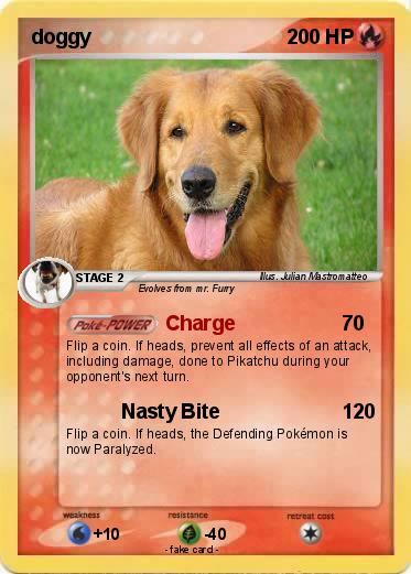 Pokemon doggy