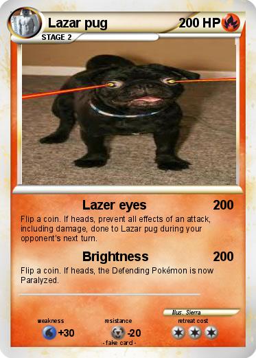 Pokemon Lazar pug