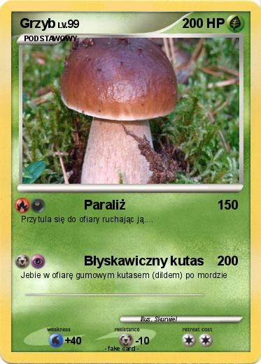 Pokemon Grzyb