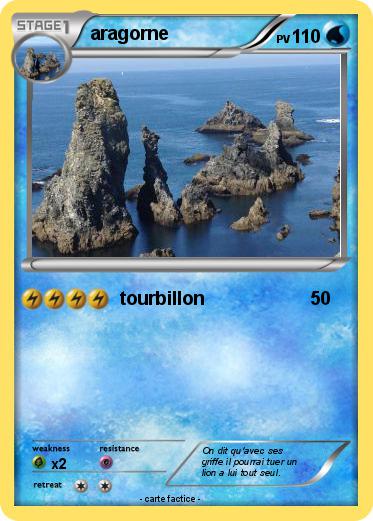Pokemon aragorne