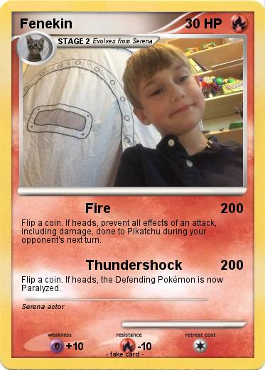 Pokemon Fenekin