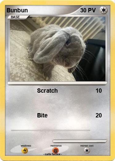 Pokemon Bunbun
