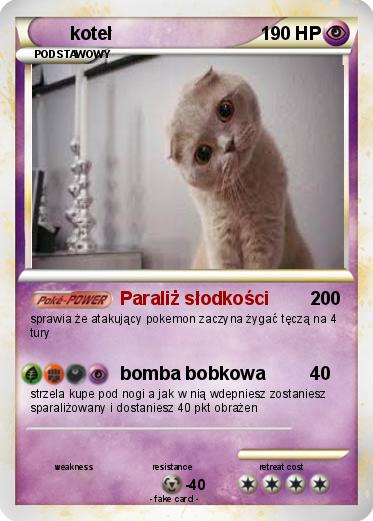 Pokemon koteł