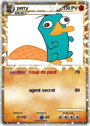 Pokemon perry