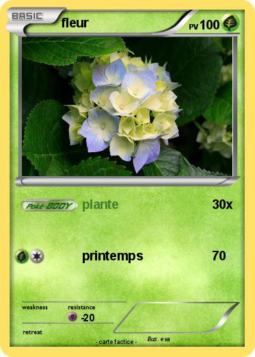 Pokemon fleur