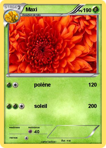 Pokemon Maxi