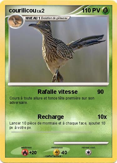 Pokemon courilicou