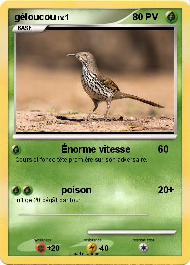 Pokemon géloucou