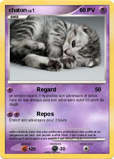 Pokemon chaton