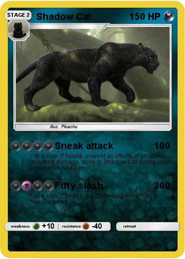 Pokemon Shadow Cat