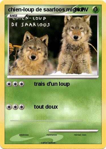 Pokemon chien-loup de saarloos mignon
