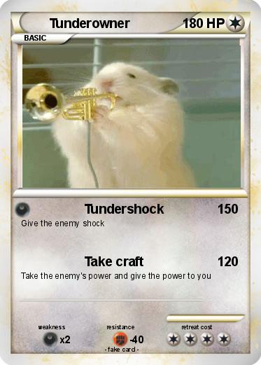Pokemon Tunderowner