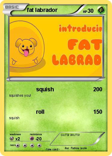 Pokemon fat labrador