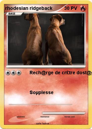Pokemon rhodesian ridgeback