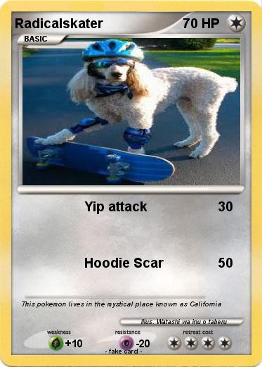Pokemon Radicalskater