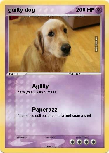 Pokemon guilty dog