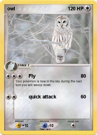 Pokemon owl