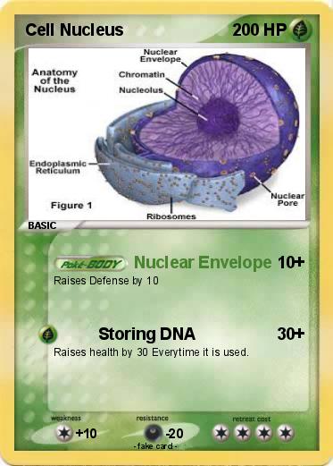 Pokemon Cell Nucleus