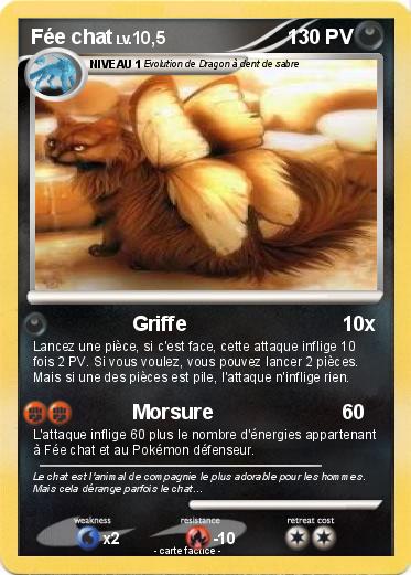 Pokemon Fée chat