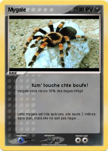 Pokemon Mygale
