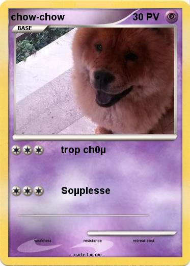 Pokemon chow-chow