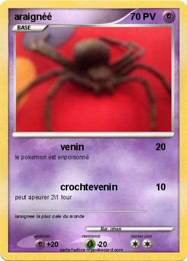 Pokemon araignéé