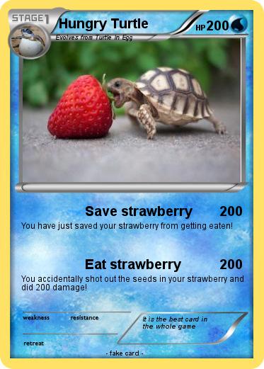 Pokemon Hungry Turtle