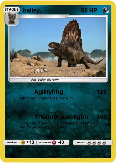 Pokemon bailey,