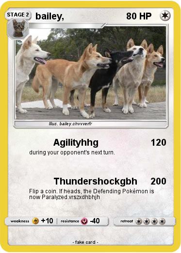 Pokemon bailey,
