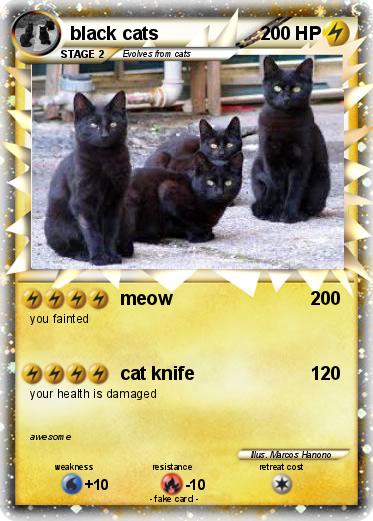 Pokemon black cats