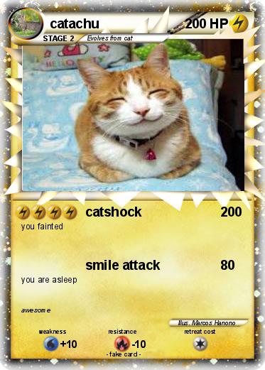 Pokemon catachu