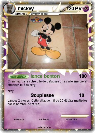 Pokemon mickey