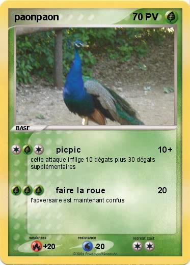 Pokemon paonpaon
