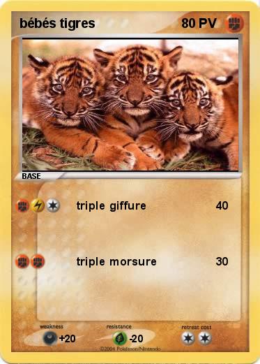Pokemon bébés tigres