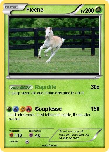 Pokemon Fleche