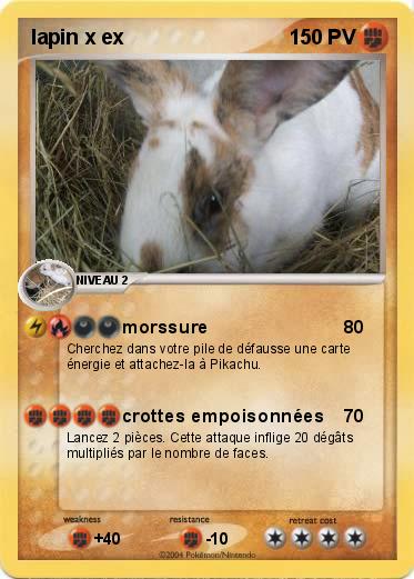 Pokemon lapin x ex
