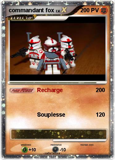 Pokemon commandant fox