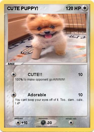 Pokemon CUTE PUPPY!