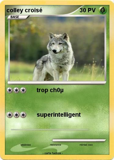 Pokemon colley croisé