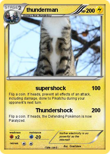 Pokemon thunderman