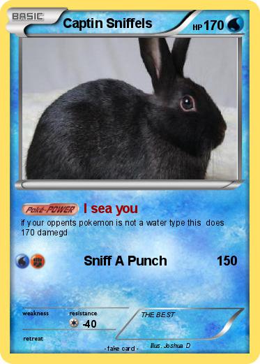 Pokemon Captin Sniffels