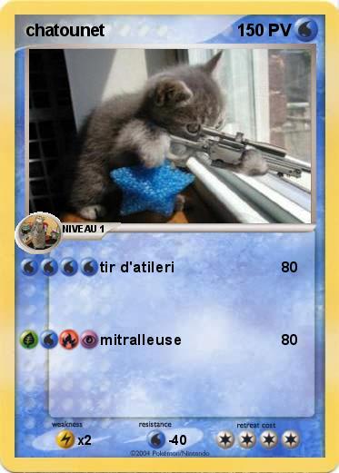 Pokemon chatounet