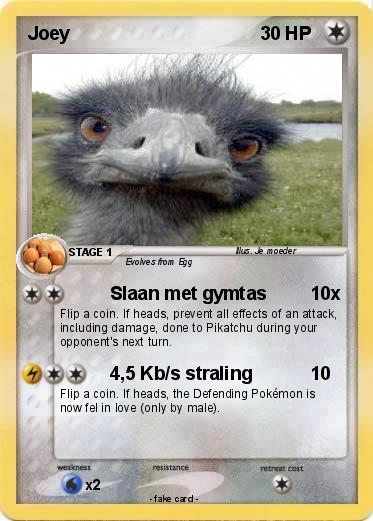 Pokemon Joey