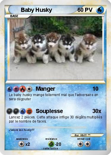 Pokemon Baby Husky
