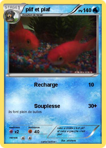 Pokemon plif et plaf